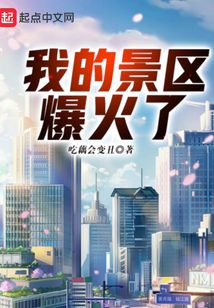 我的景区爆火了小说